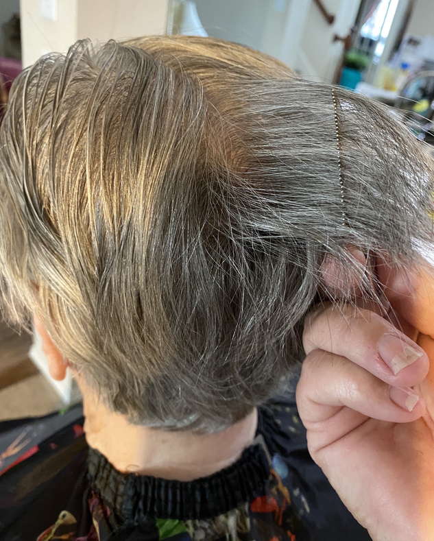 Fort Worth and Arlington, Texas Lice Treatment & Lice Removal Service